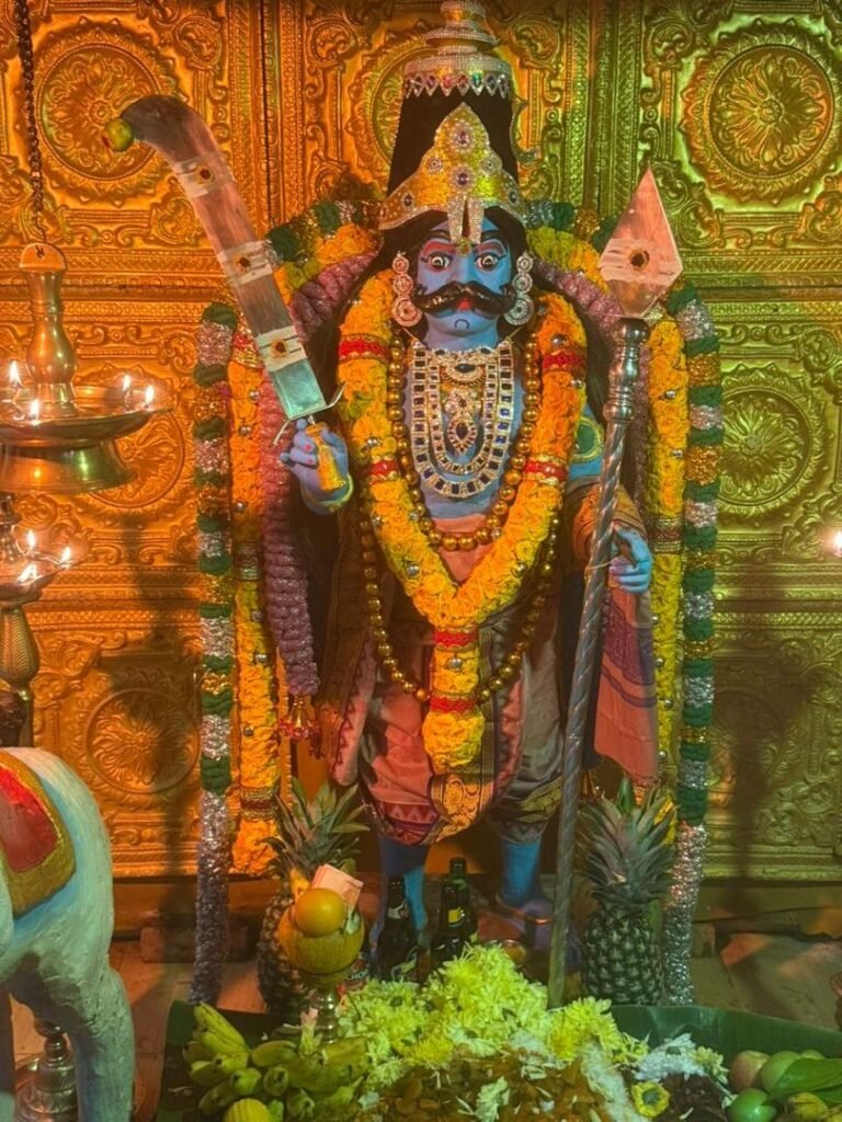 whatsapp image 2025 11 24 at 1.29.59 pm